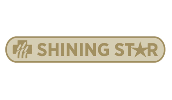 Shining star logo