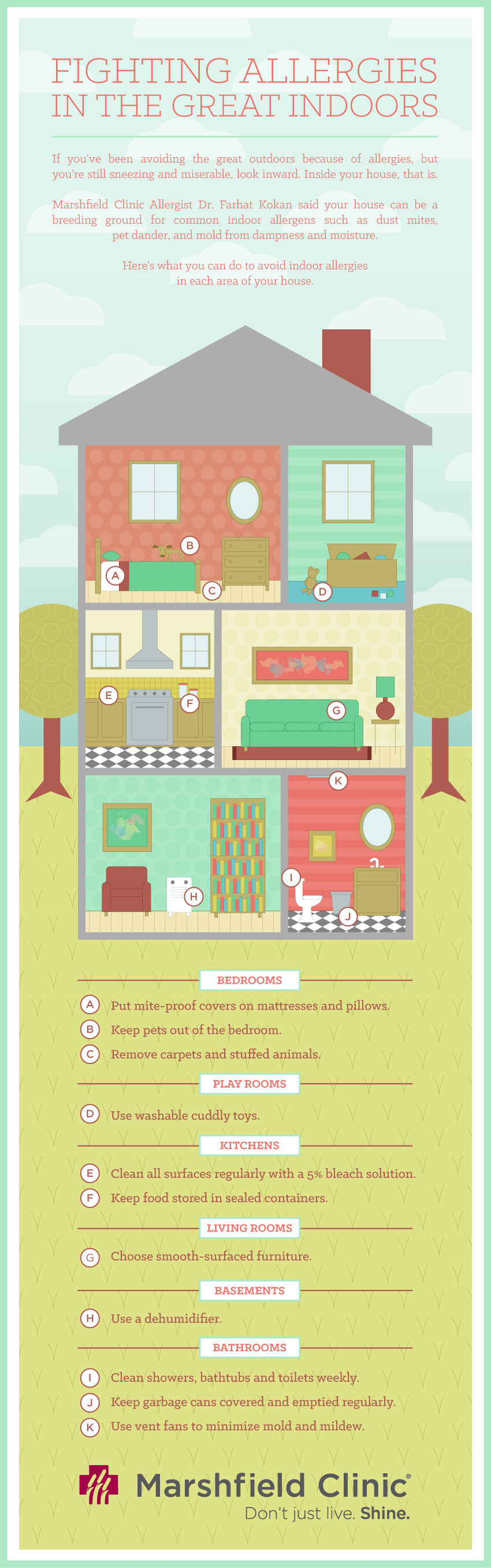 Indoor allergy infographic