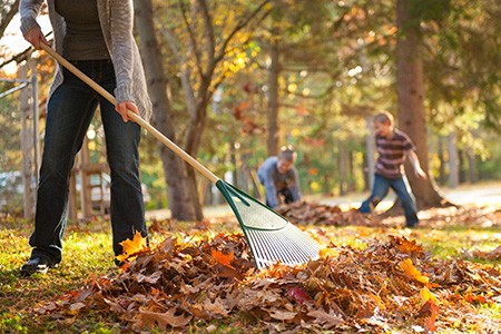 Mom raking leaves, while sons playing in background.