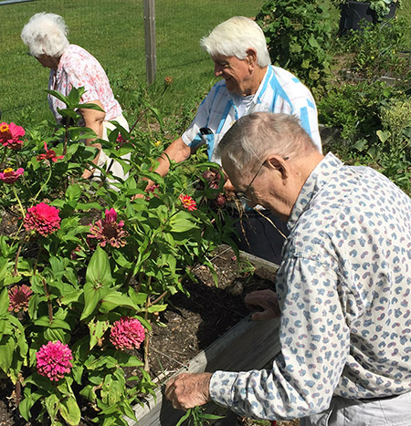 Gardeners with flowers - Square foot gardening