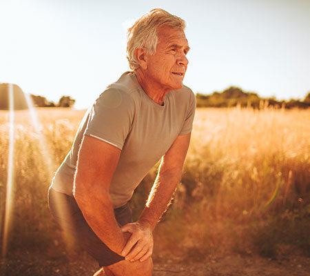 Resorbable Stents 5-23 inside