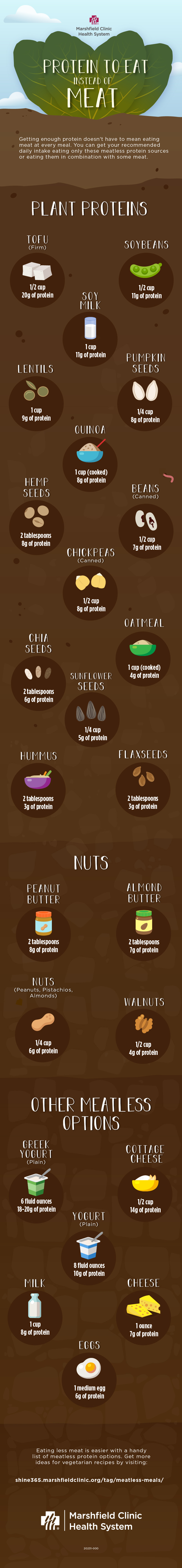 Protein to eat instead of meat / protein alternatives