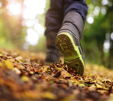 Low angle of someone walking through woods, leaves - Chiggers in Wisconsin