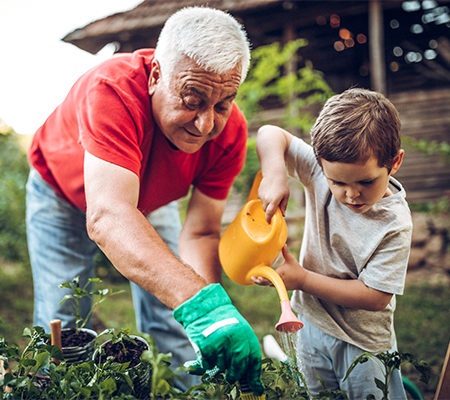 28 Ortho/consider a joint replacement - revision surgery/ grandpa gardening