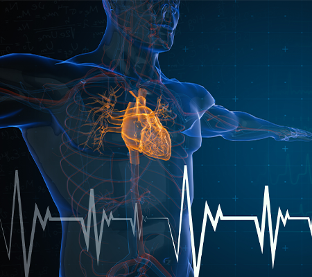 Graphic - BAROSTIM NEO