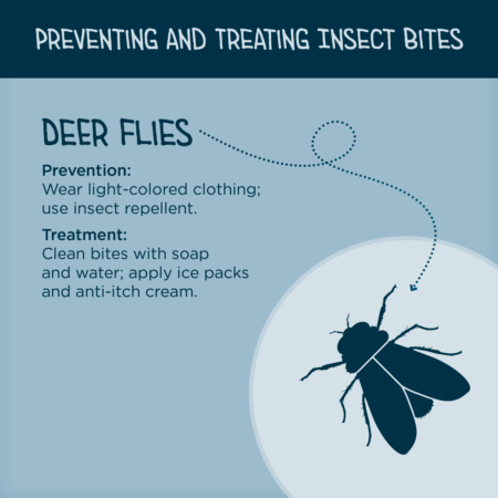 Preventing and treating deer flies 