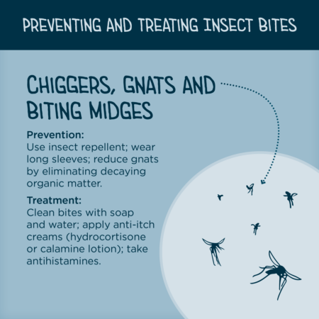 Preventing and treating bites from chiggers, gnats and biting midges